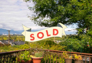 3350 Collingwood Sold Image