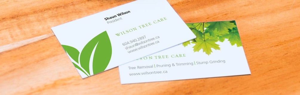 wilson-cards