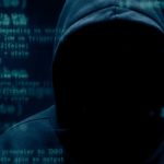 Wordpress vulnerabilities warning